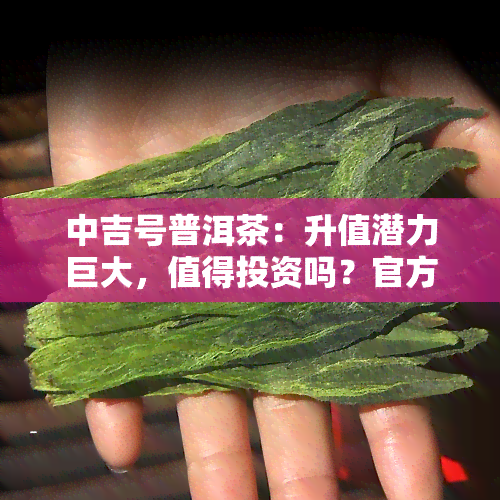 中吉号普洱茶：升值潜力巨大，值得投资吗？官方2018年报价多少？