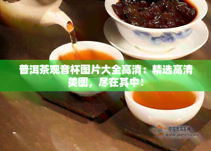 普洱茶观音杯图片大全高清：精选高清美图，尽在其中！