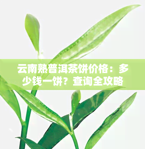 云南熟普洱茶饼价格：多少钱一饼？查询全攻略