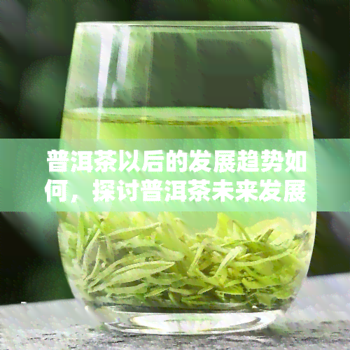 普洱茶以后的发展趋势如何，探讨普洱茶未来发展趋势：市场预测与消费者偏好分析