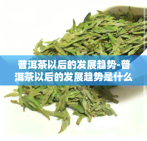 普洱茶以后的发展趋势-普洱茶以后的发展趋势是什么