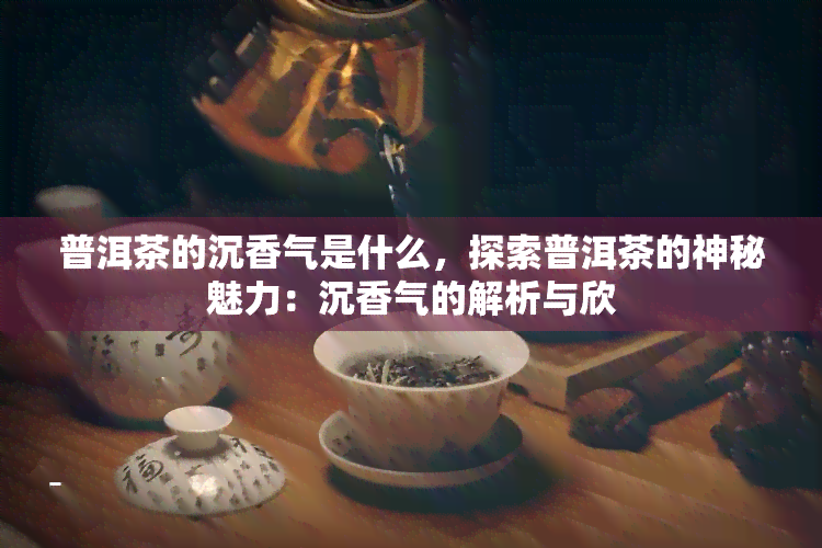 普洱茶的沉香气是什么，探索普洱茶的神秘魅力：沉香气的解析与欣