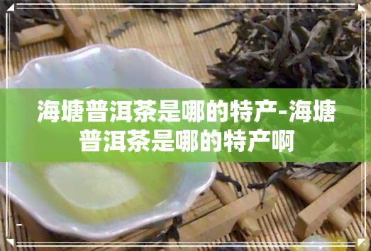 海塘普洱茶是哪的特产-海塘普洱茶是哪的特产啊