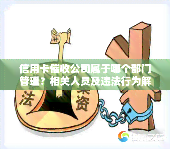 信用卡公司属于哪个部门管理？相关人员及违法行为解析