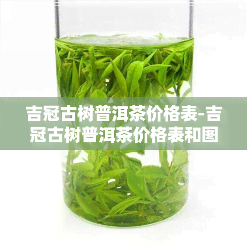 吉冠古树普洱茶价格表-吉冠古树普洱茶价格表和图片