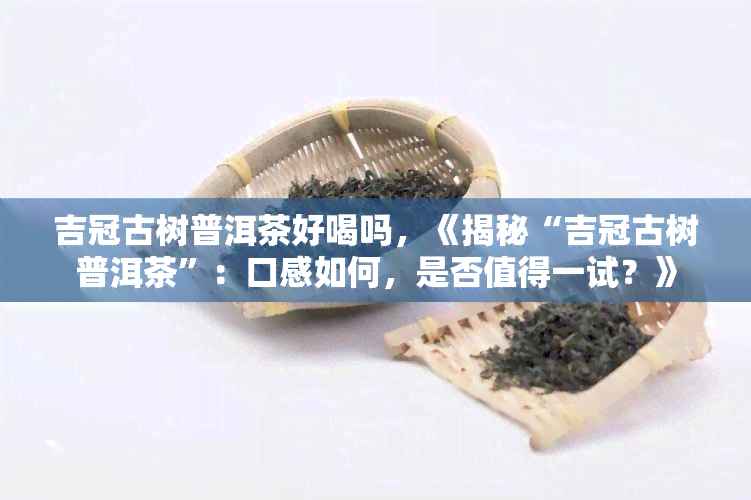 吉冠古树普洱茶好喝吗，《揭秘“吉冠古树普洱茶”：口感如何，是否值得一试？》