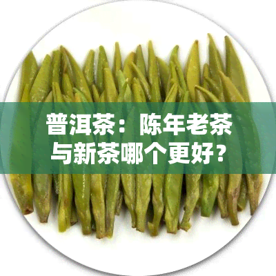 普洱茶：陈年老茶与新茶哪个更好？