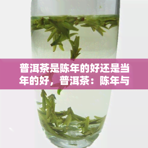 普洱茶是陈年的好还是当年的好，普洱茶：陈年与当年，哪个更好？