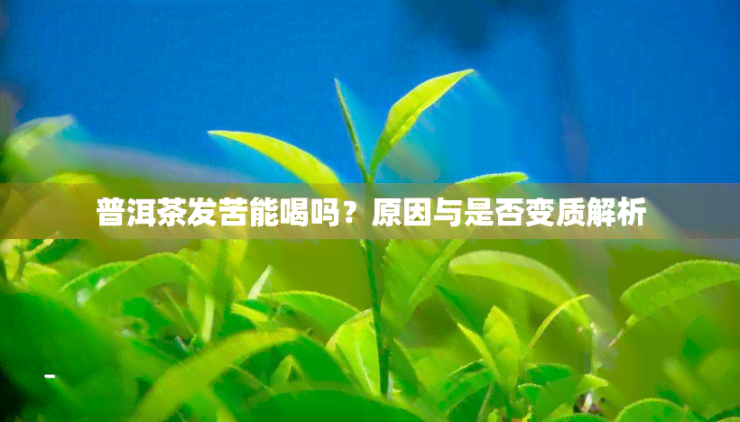 普洱茶发苦能喝吗？原因与是否变质解析