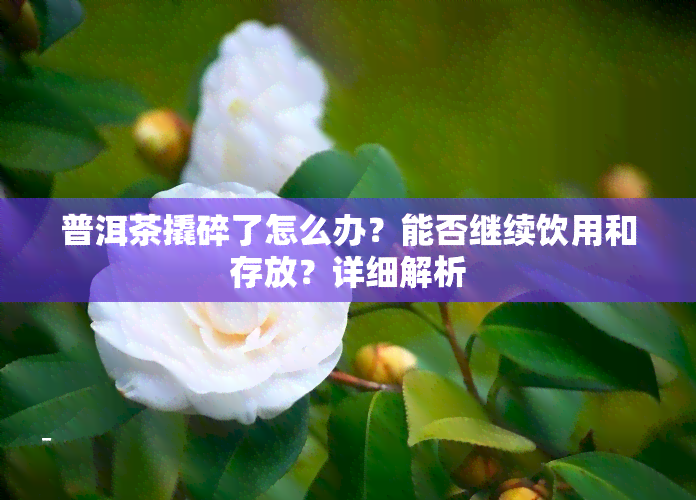 普洱茶撬碎了怎么办？能否继续饮用和存放？详细解析