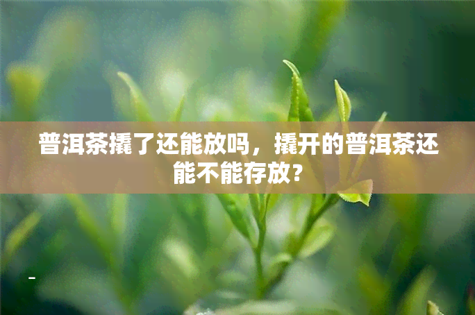 普洱茶撬了还能放吗，撬开的普洱茶还能不能存放？