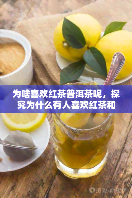 为啥喜欢红茶普洱茶呢，探究为什么有人喜欢红茶和普洱茶？