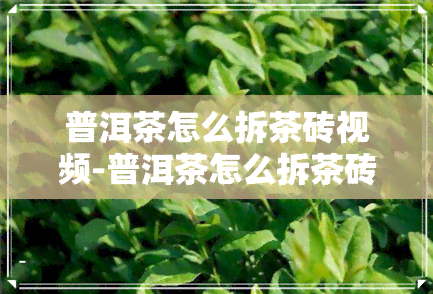 普洱茶怎么拆茶砖视频-普洱茶怎么拆茶砖视频教程