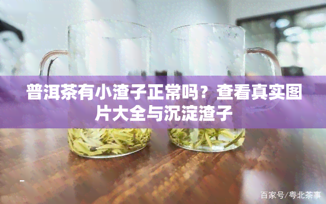 普洱茶有小渣子正常吗？查看真实图片大全与沉淀渣子