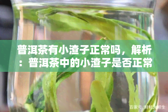 普洱茶有小渣子正常吗，解析：普洱茶中的小渣子是否正常？