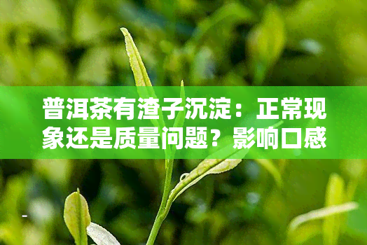 普洱茶有渣子沉淀：正常现象还是质量问题？影响口感吗？