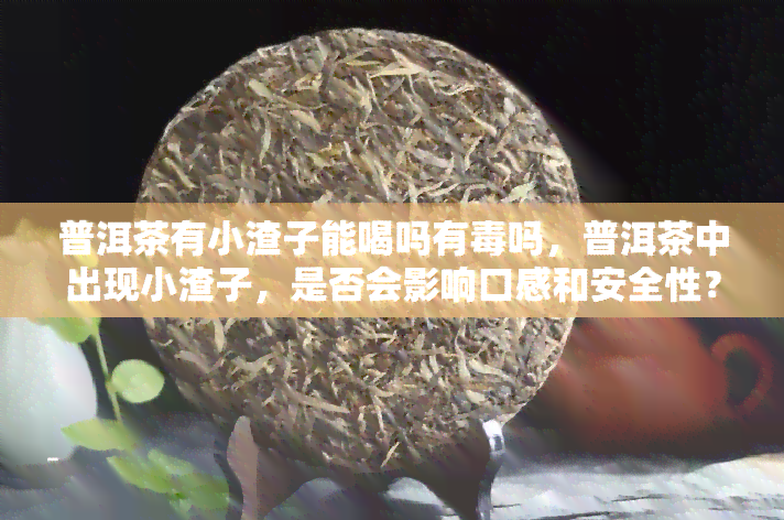 普洱茶有小渣子能喝吗有吗，普洱茶中出现小渣子，是否会影响口感和安全性？