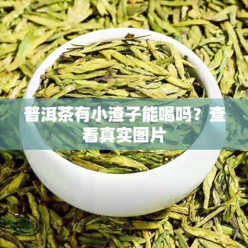 普洱茶有小渣子能喝吗？查看真实图片