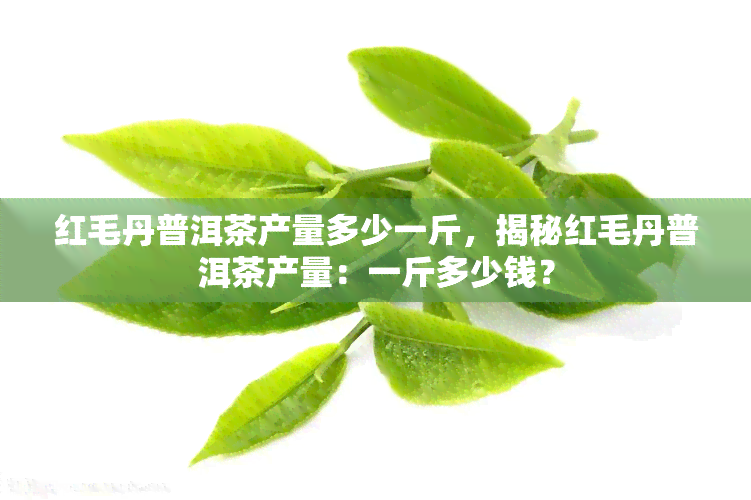 红毛丹普洱茶产量多少一斤，揭秘红毛丹普洱茶产量：一斤多少钱？