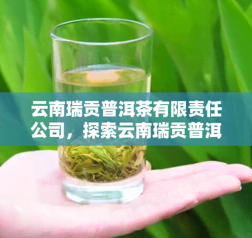 云南瑞贡普洱茶有限责任公司，探索云南瑞贡普洱茶有限责任公司的茶叶世界