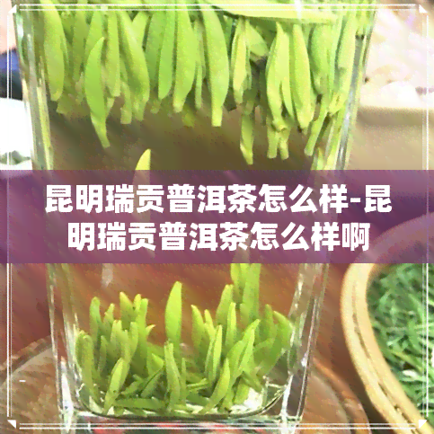 昆明瑞贡普洱茶怎么样-昆明瑞贡普洱茶怎么样啊