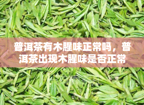 普洱茶有木腥味正常吗，普洱茶出现木腥味是否正常？专家为您解答