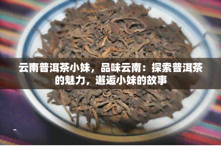 云南普洱茶小妹，品味云南：探索普洱茶的魅力，邂逅小妹的故事