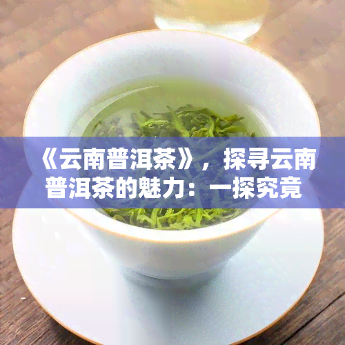 《云南普洱茶》，探寻云南普洱茶的魅力：一探究竟这神秘的茶叶世界