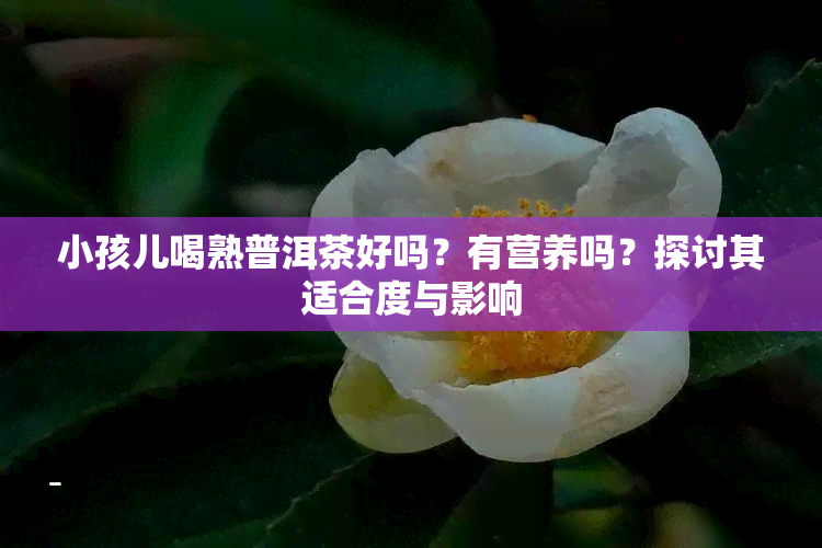 小孩儿喝熟普洱茶好吗？有营养吗？探讨其适合度与影响