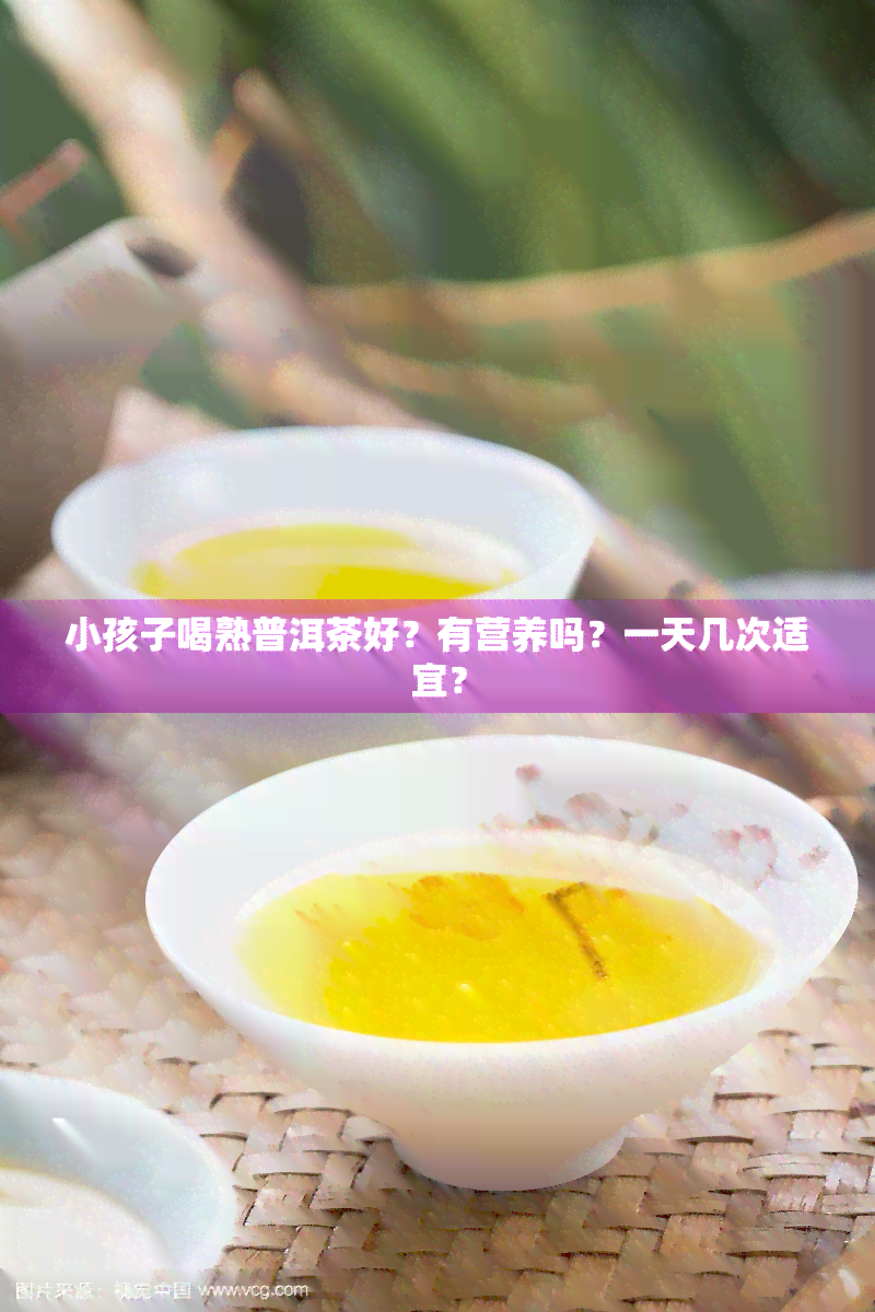 小孩子喝熟普洱茶好？有营养吗？一天几次适宜？