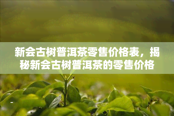 新会古树普洱茶零售价格表，揭秘新会古树普洱茶的零售价格表！