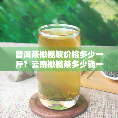 普洱茶橄榄坡价格多少一斤？云南橄榄茶多少钱一斤？