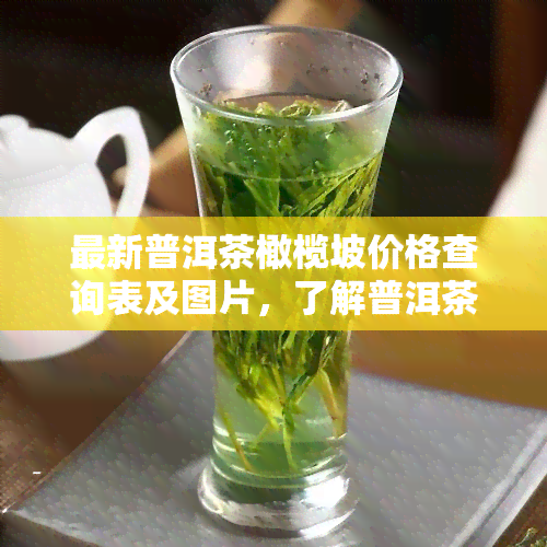 最新普洱茶橄榄坡价格查询表及图片，了解普洱茶橄榄坡、橄榄坝、绿茶价格，探索古树茶奥秘