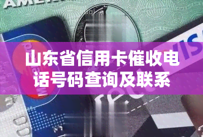 山东省信用卡电话号码查询及联系方式