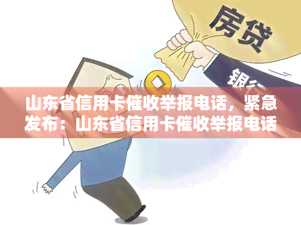 山东省信用卡举报电话，紧急发布：山东省信用卡举报电话公布，持卡人权益保障进行时！