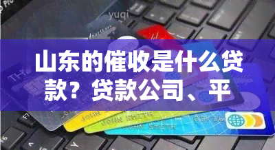 山东的是什么贷款？贷款公司、平台及排名全揭秘！