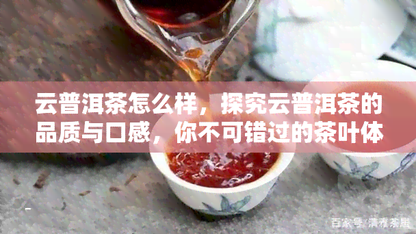 云普洱茶怎么样，探究云普洱茶的品质与口感，你不可错过的茶叶体验