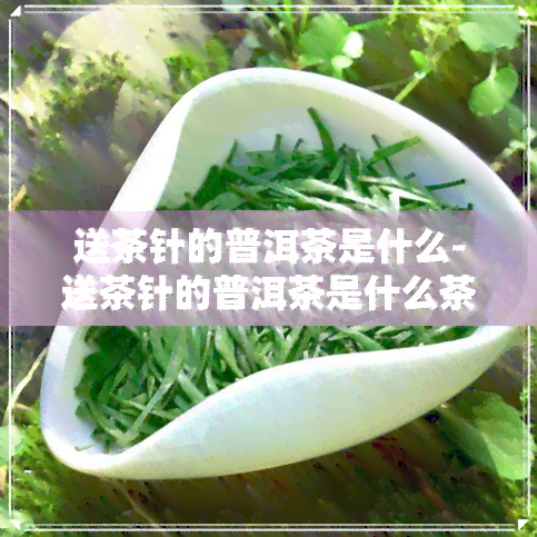 送茶针的普洱茶是什么-送茶针的普洱茶是什么茶