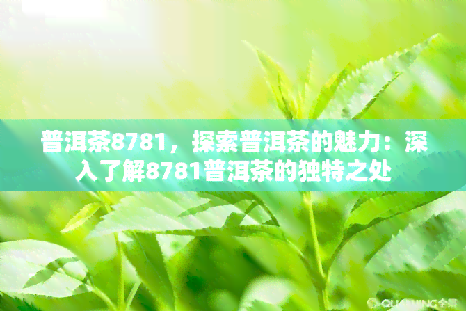 普洱茶8781，探索普洱茶的魅力：深入了解8781普洱茶的独特之处