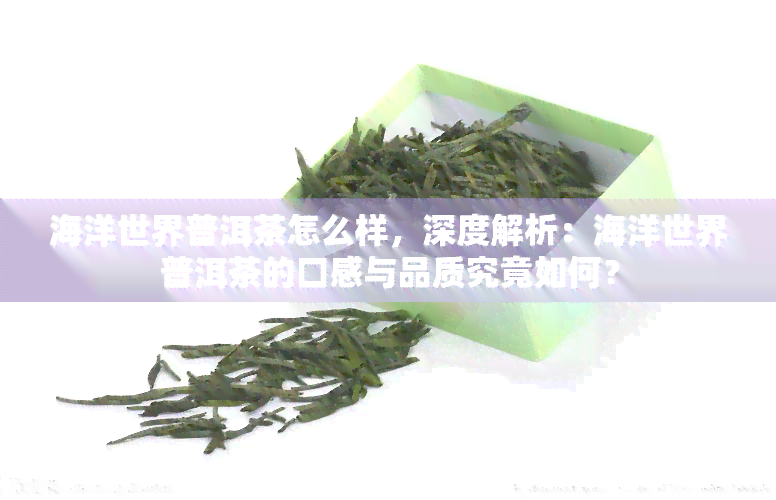 海洋世界普洱茶怎么样，深度解析：海洋世界普洱茶的口感与品质究竟如何？