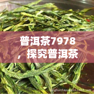 普洱茶7978，探究普洱茶的魅力：7978的故事与品鉴