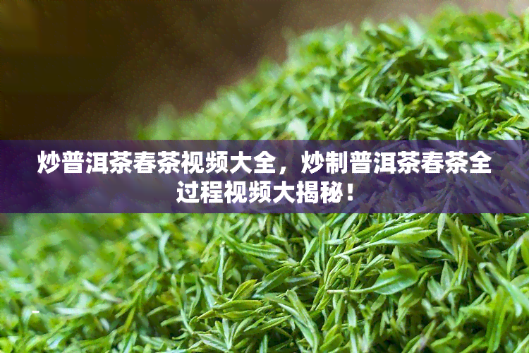 炒普洱茶春茶视频大全，炒制普洱茶春茶全过程视频大揭秘！