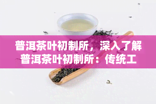 普洱茶叶初制所，深入了解普洱茶叶初制所：传统工艺与现代技术的完美结合