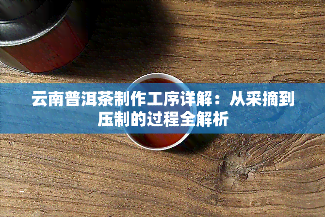 云南普洱茶制作工序详解：从采摘到压制的过程全解析