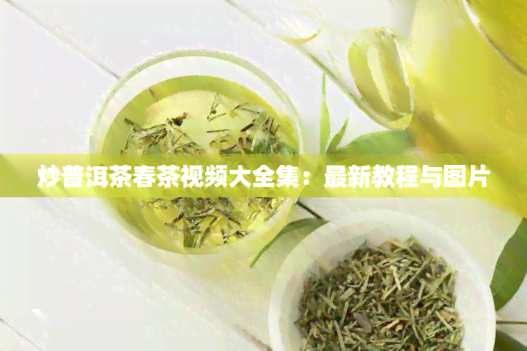 炒普洱茶春茶视频大全集：最新教程与图片