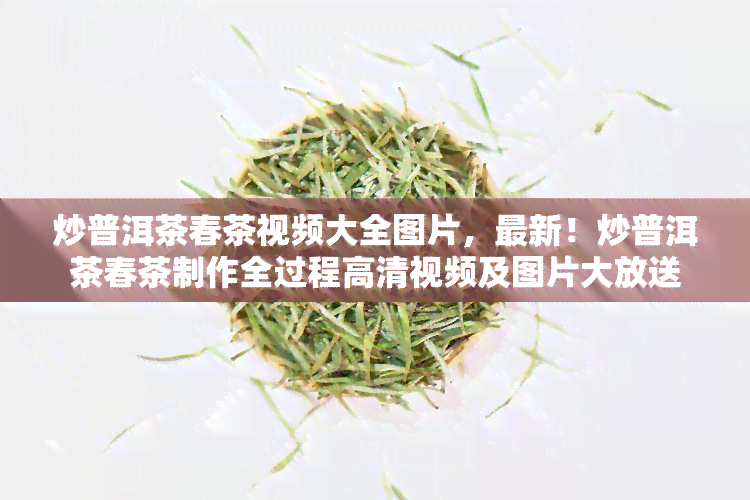 炒普洱茶春茶视频大全图片，最新！炒普洱茶春茶制作全过程高清视频及图片大放送