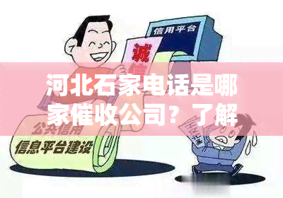 河北石家电话是哪家公司？了解石家情况与较大公司