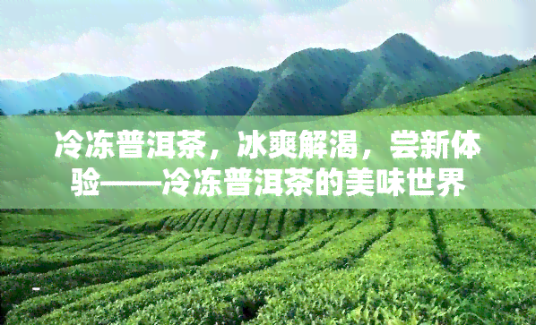 冷冻普洱茶，冰爽解渴，尝新体验——冷冻普洱茶的美味世界