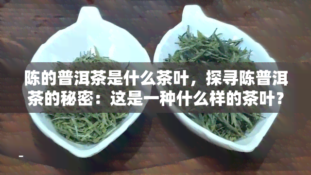 陈的普洱茶是什么茶叶，探寻陈普洱茶的秘密：这是一种什么样的茶叶？