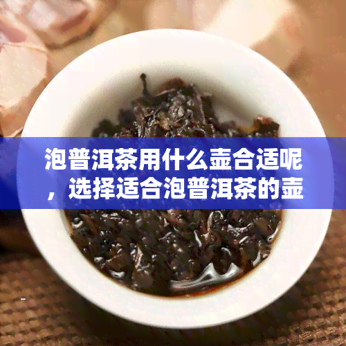 泡普洱茶用什么壶合适呢，选择适合泡普洱茶的壶，你需要注意这些！